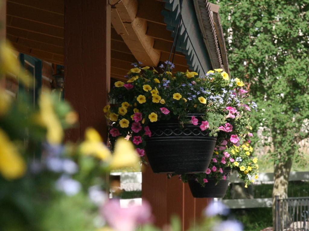 Ouray Inn Exterior foto